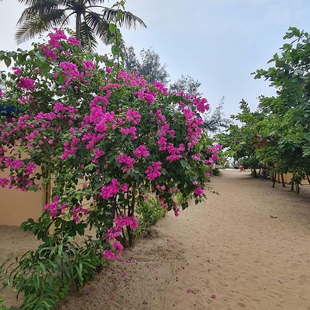 Love Temple Beach Resort 阿姆波尔 外观 照片